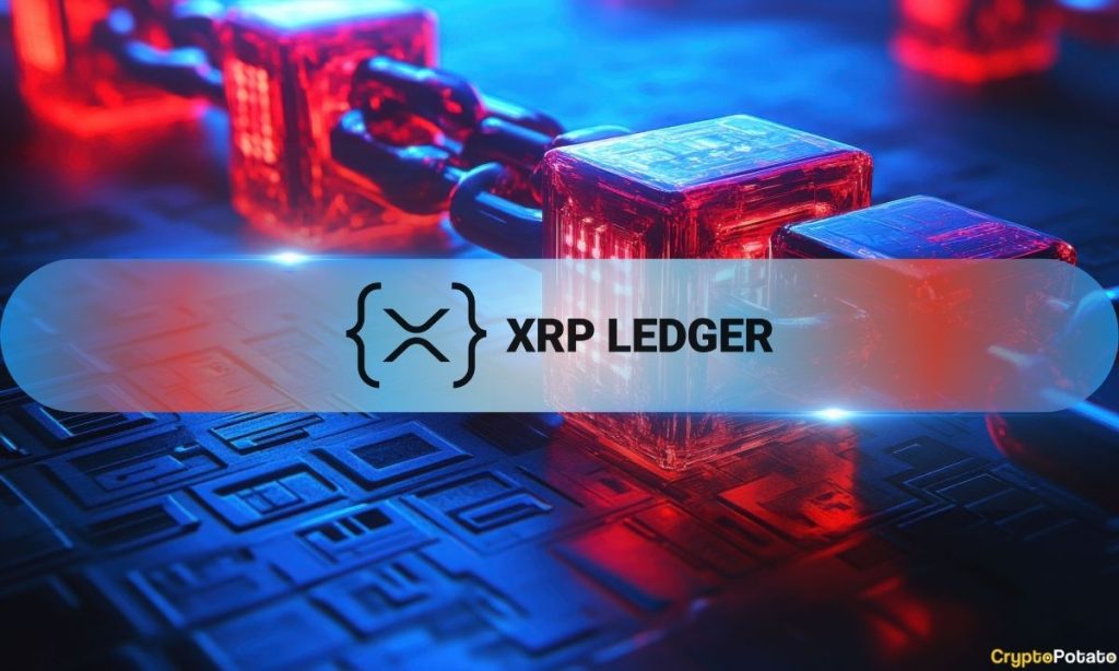 XRP Ledger Sees 8.9% Rise in Daily Transactions, NFT Activity Surges in Q3 XRP Ledger in September 2025: The Good, the Bad, the Ugly