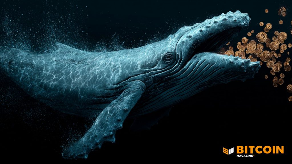 Bitcoin Whales Are Buying During Price Crash: VanEck Bitcoin Whales Are Buying During Price Crash: VanEck
